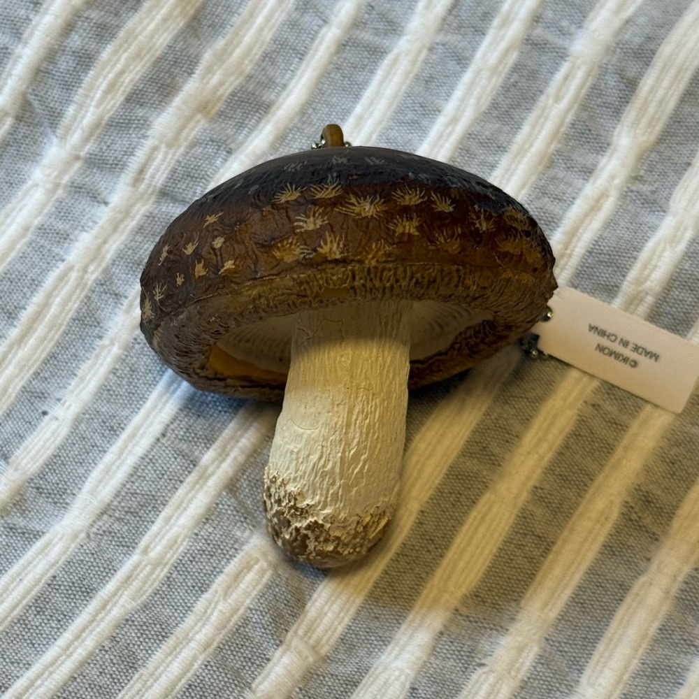 Nature Techni Colour Mushroom Keychain Blind Box - Opened